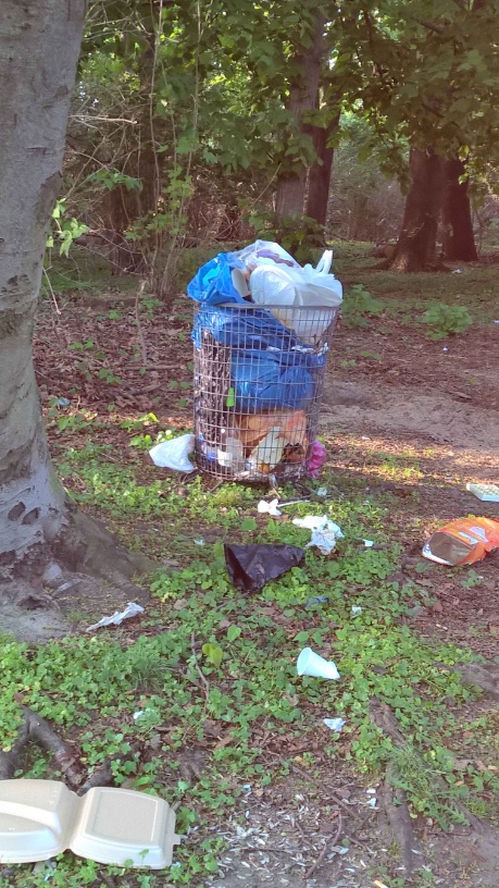 Beispielfoto der Vermüllung im Schillerpark